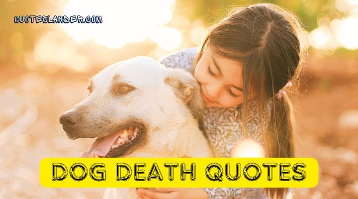 dog death quotes