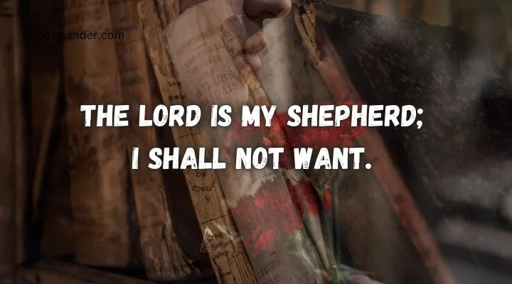 Best Inspirational Bible Quotes About walking With God